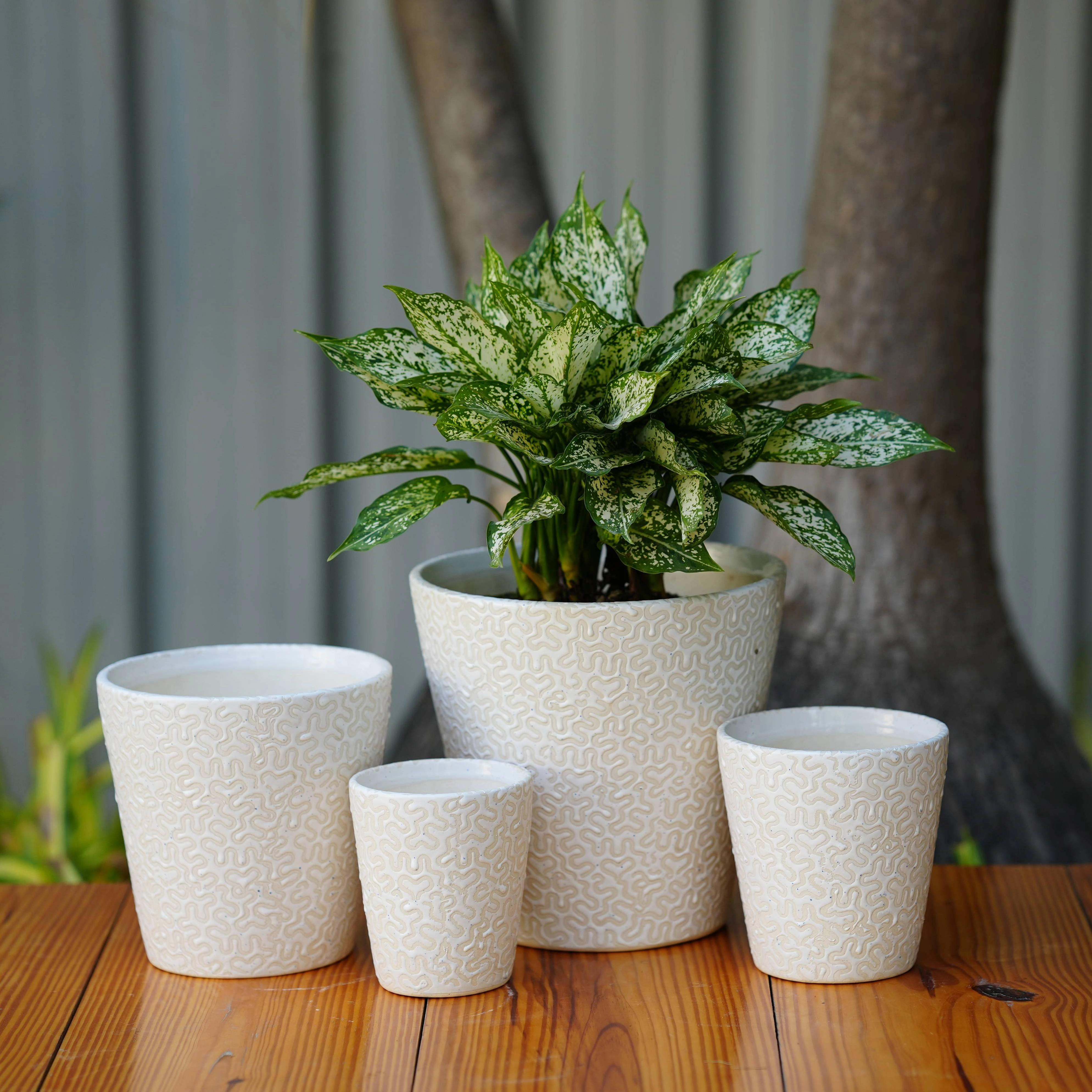 Modern White Ceramic Pot with Textured Pattern classic flowerpot  