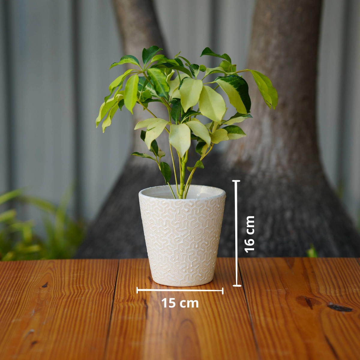 Modern White Ceramic Pot with Textured Pattern