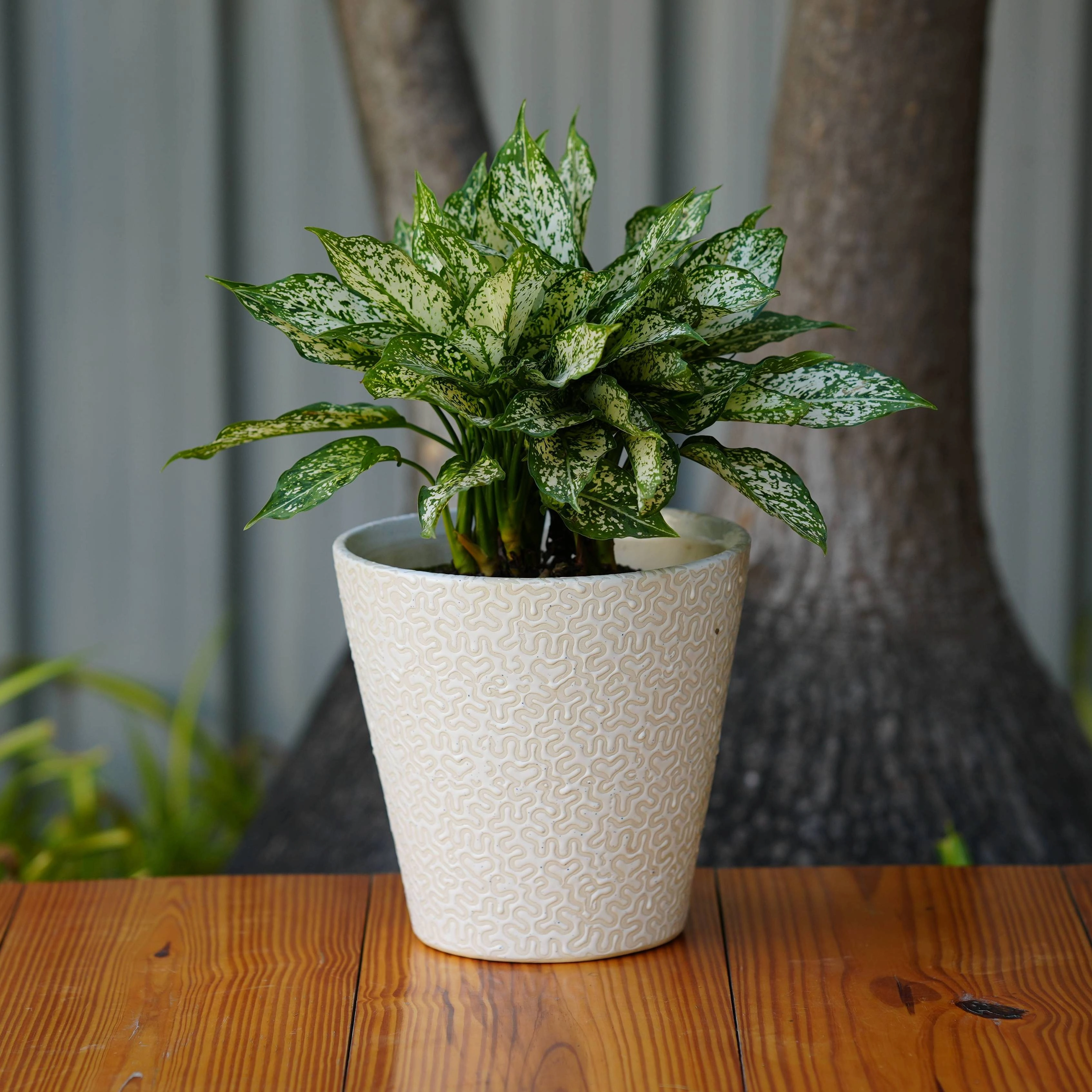Modern White Ceramic Pot with Textured Pattern