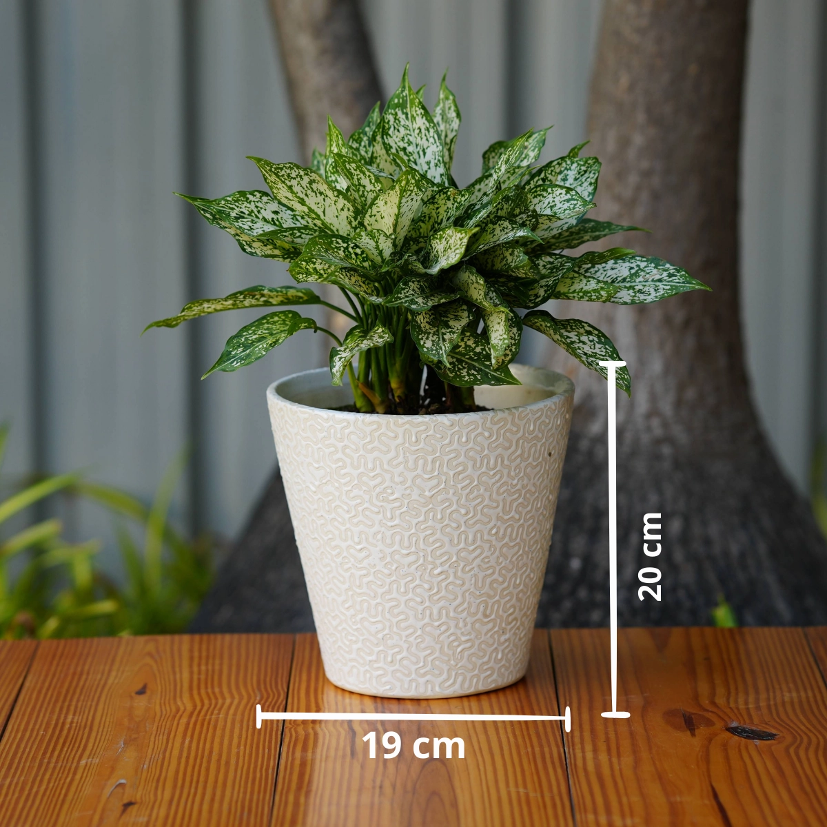 Modern White Ceramic Pot with Textured Pattern
