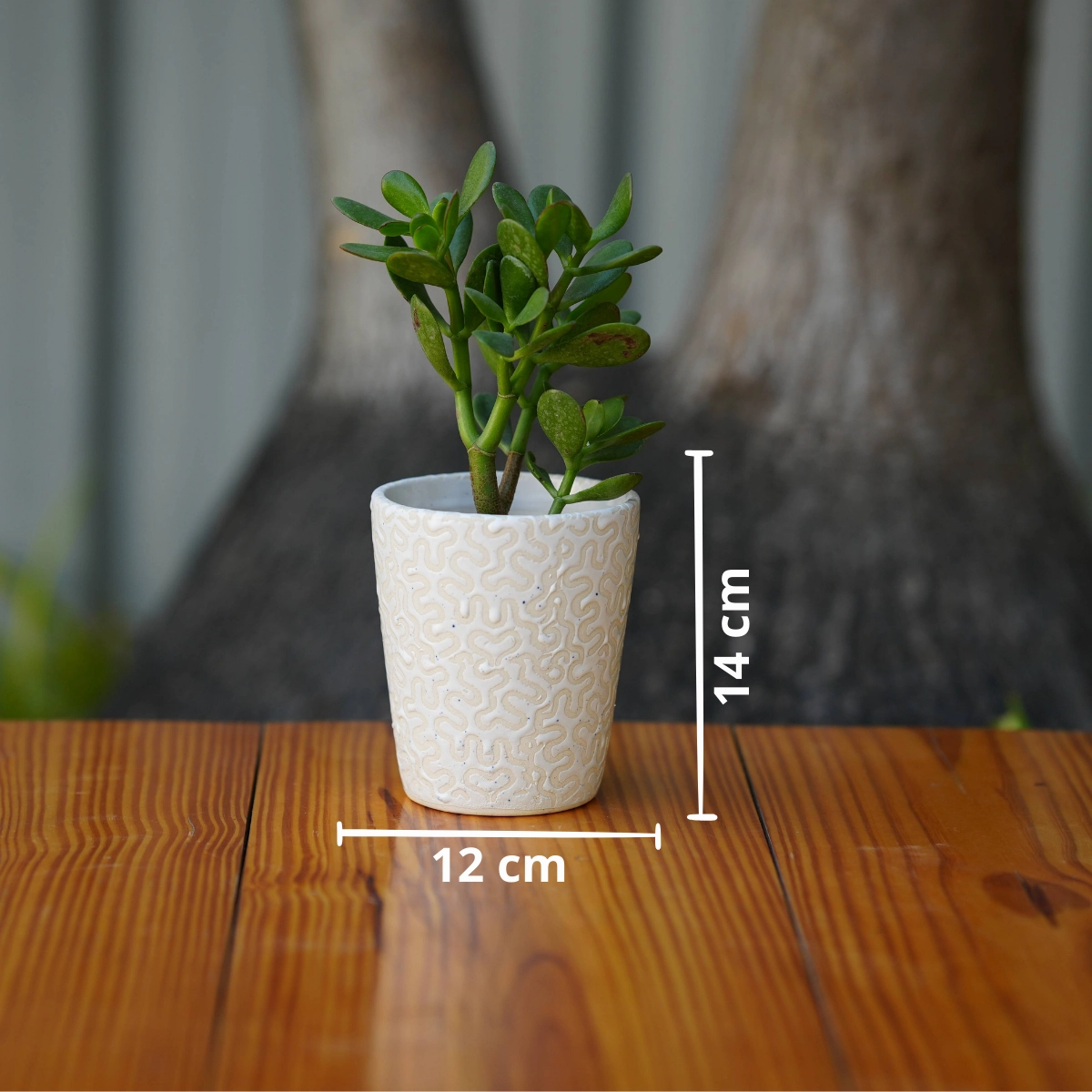 Modern White Ceramic Pot with Textured Pattern