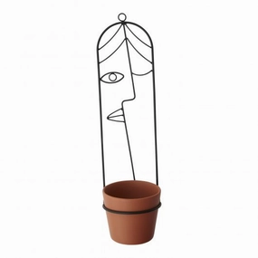 Moira Hanging Pot plant seeds  