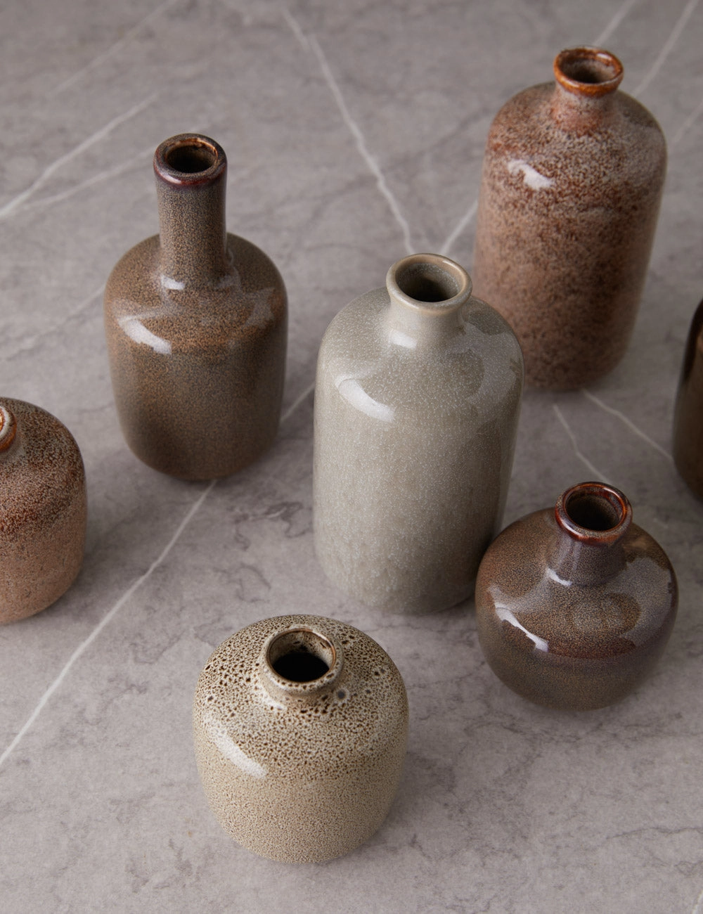 Molloy Vases (Set of 8) mini ornamental plant  