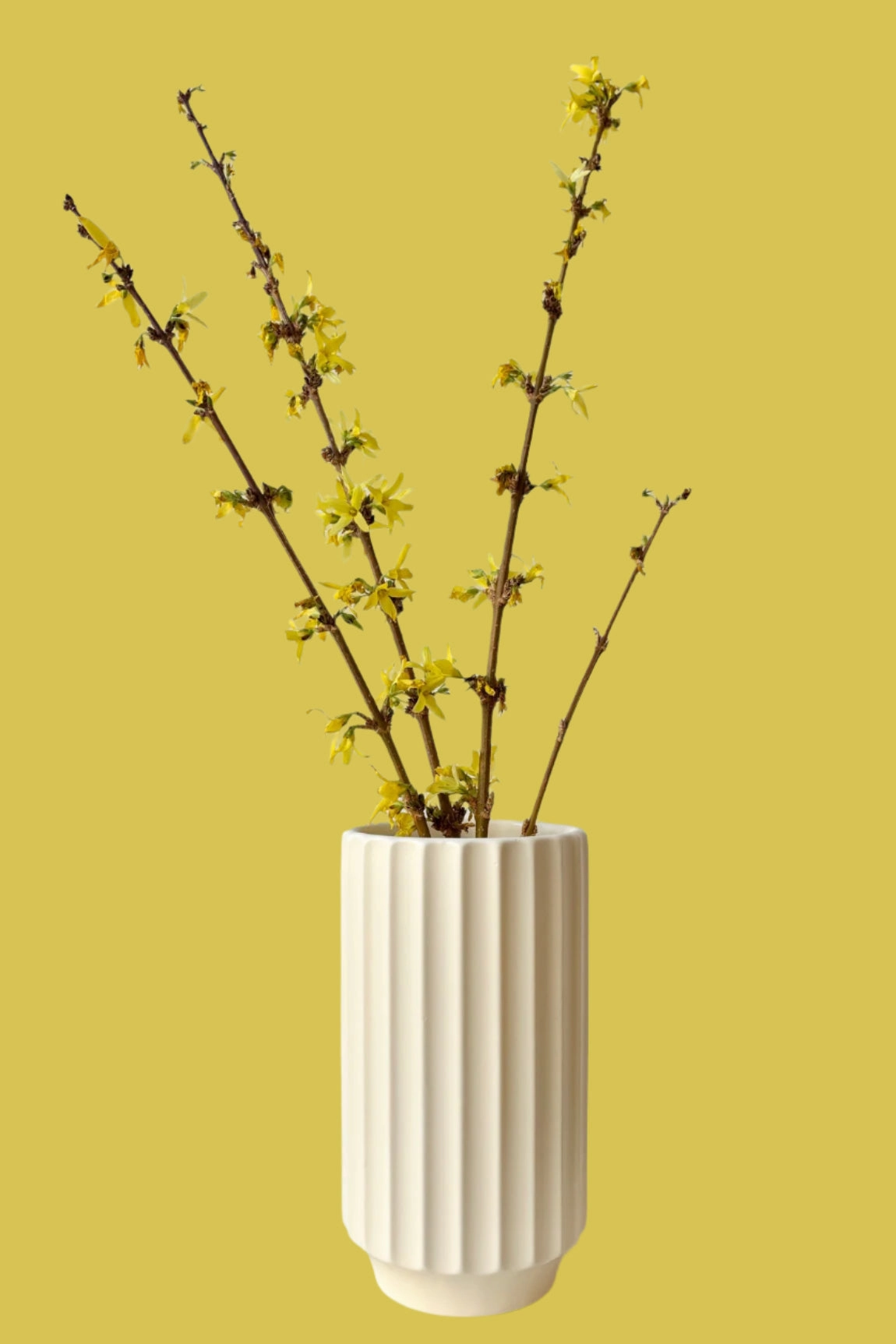 Monroe Vase Vintage White
