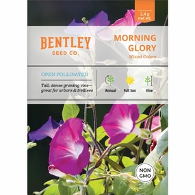 Morning Glory Mixed Colors-Ipomoea Seed Packet floating plant shelf  