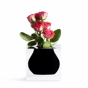 Mosco - Bud Vase Soho Black mini ornamental plant  