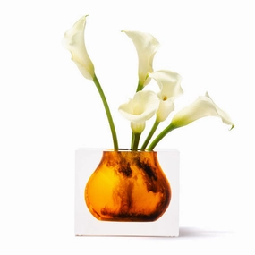 Mosco - Bud Vase Tortoise mini ornamental plant  