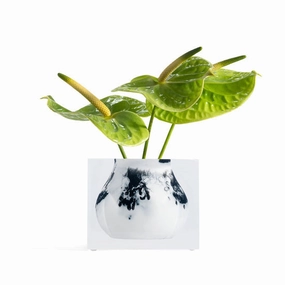 Mosco - Bud Vase White Marble mini ornamental plant  
