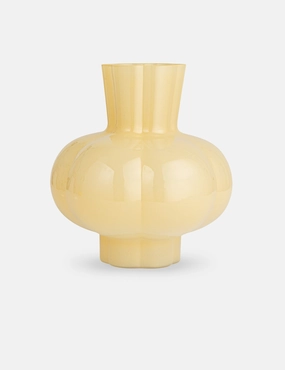 Moya Vase mini ornamental plant  