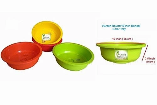 Multicolour Garden Bonsai Tray 10 Inches (3 Piece)