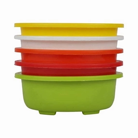 Multicolour Garden Bonsai Tray 10 Inches (3 Piece) cactus succulent plant  