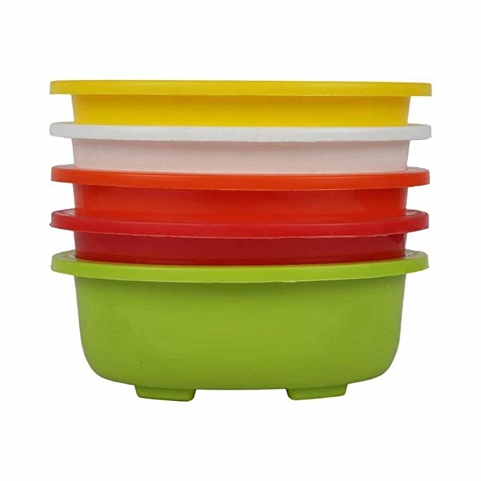 Multicolour Garden Bonsai Tray 10 Inches (3 Piece) cactus succulent plant  