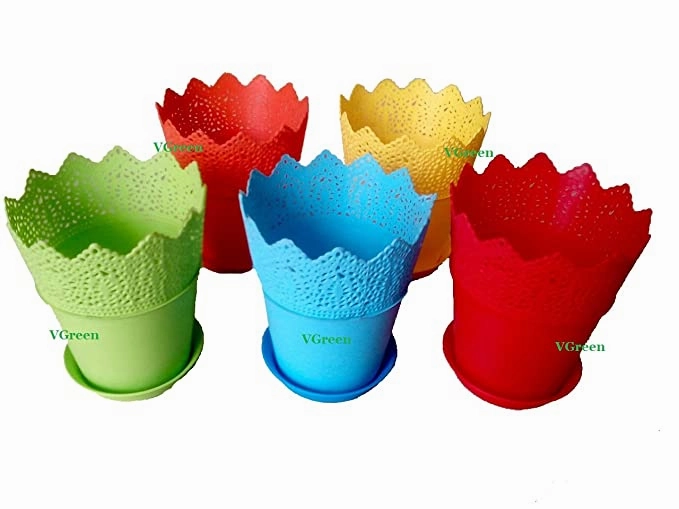 Multicolour Garden Flora Table Top Planter With Trays (Set of 6)