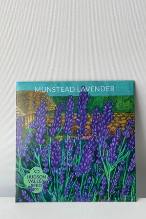 Munstead Lavender Seeds Art Pack decorative flowerpot  