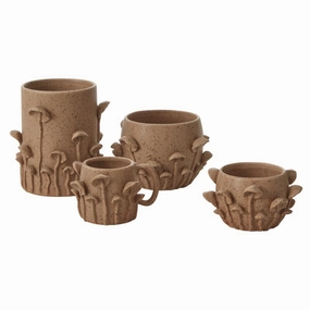 Mushroom Forest Pot plant seeds  