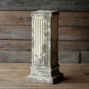 Napolean Column dried flowers  