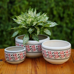 Nature-Inspired Red and Black Patterned Ceramic Planter cactus succulent plant  