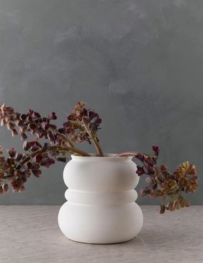 Naya Vase mini ornamental plant  