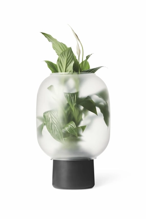 Nebl Flowerpot Big, Black dried green plant  