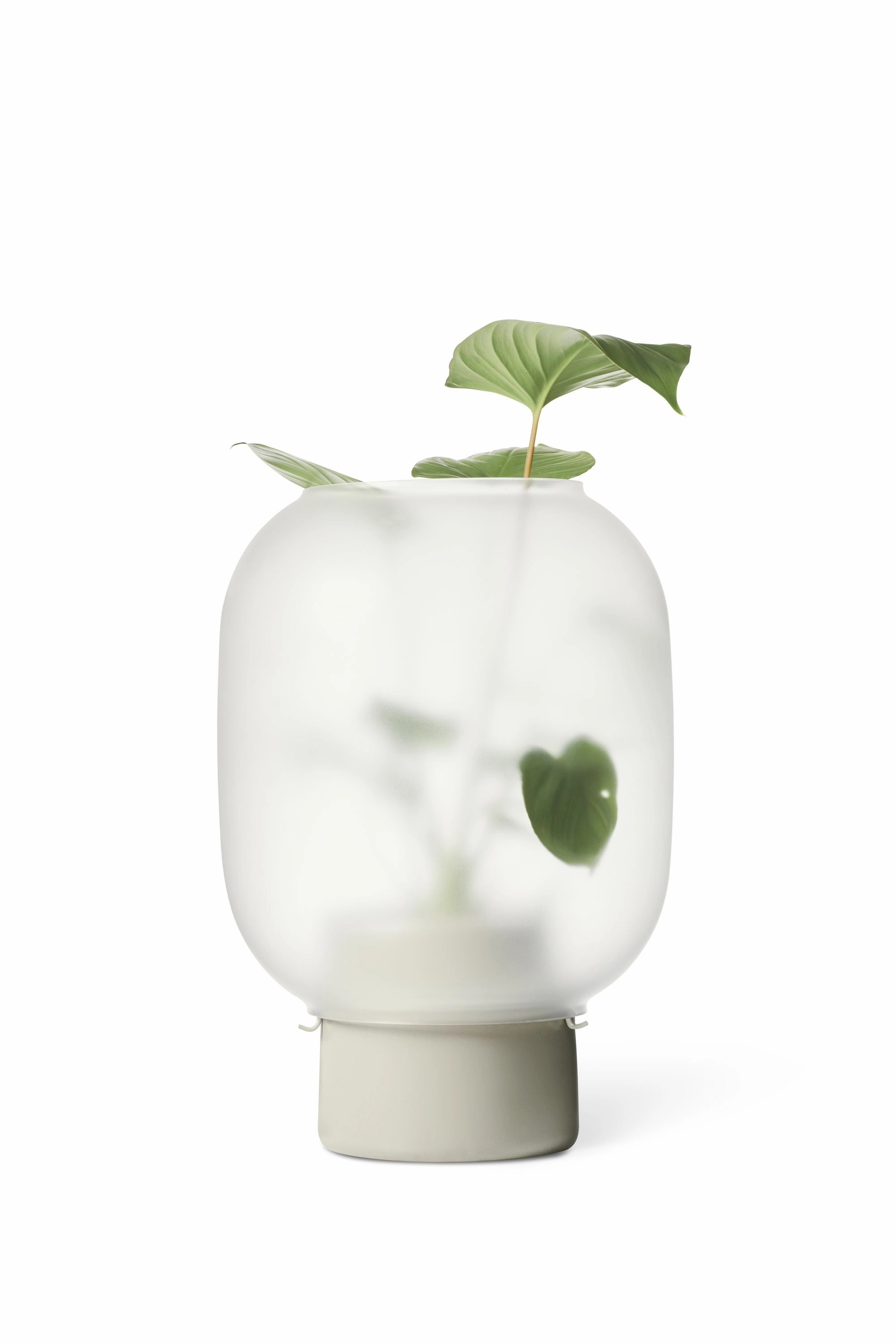 Nebl Flowerpot Big, Grey dried green plant  