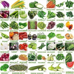 No. 1 Organic Winter & Summer Vegetable 50 Seeds small bud vase  