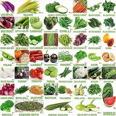No. 1 Organic Winter & Summer Vegetable 50 Seeds small bud vase  