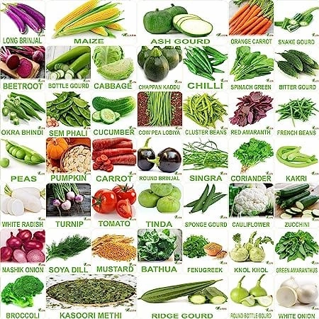 No.1 Organic Winter & Summer Vegetable Seeds- Pack of 45 small bud vase  