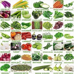 No.1 Organic Winter & Summer Vegetable Seeds- Pack of 45 small bud vase  