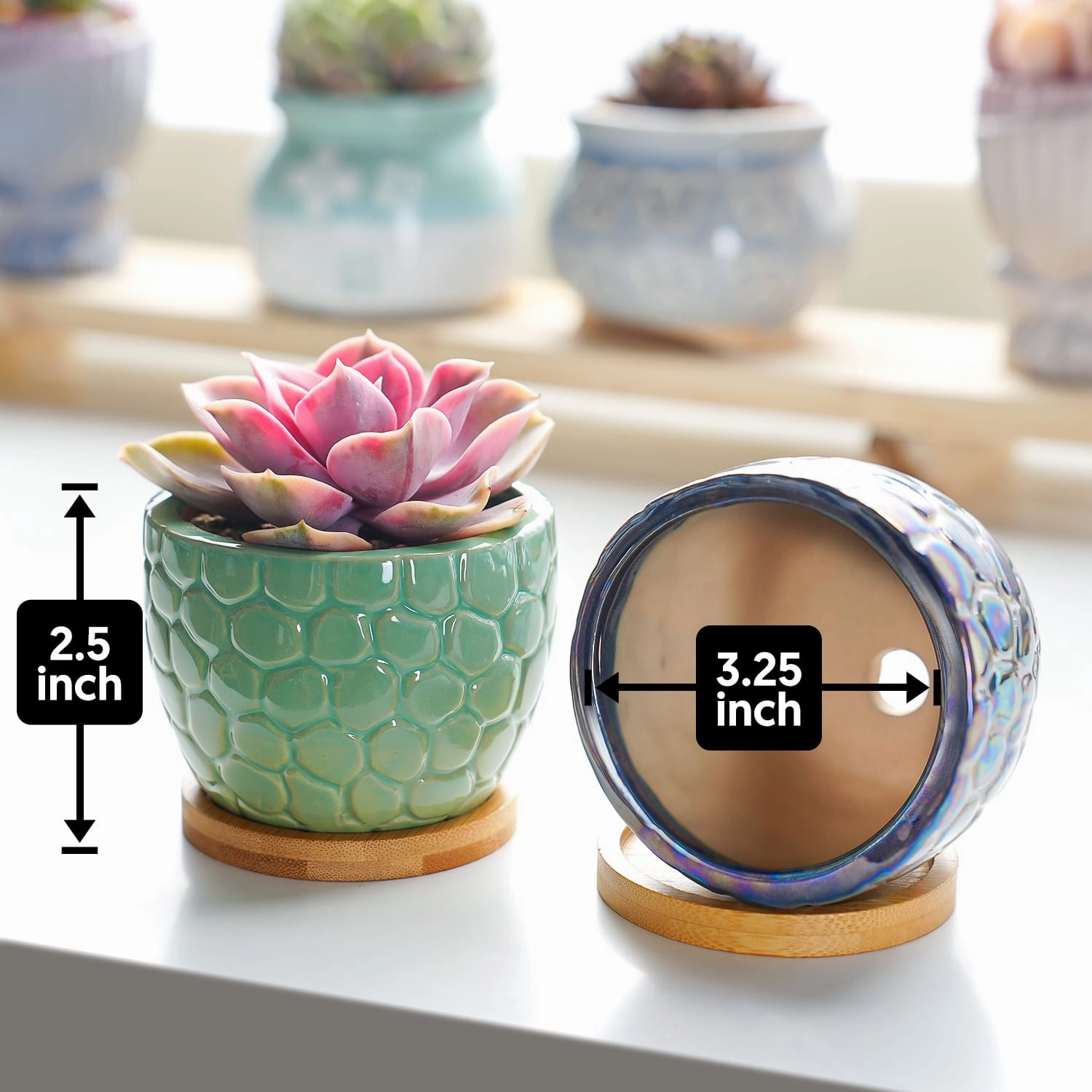 Oceanic Fish Scale Pattern Planters