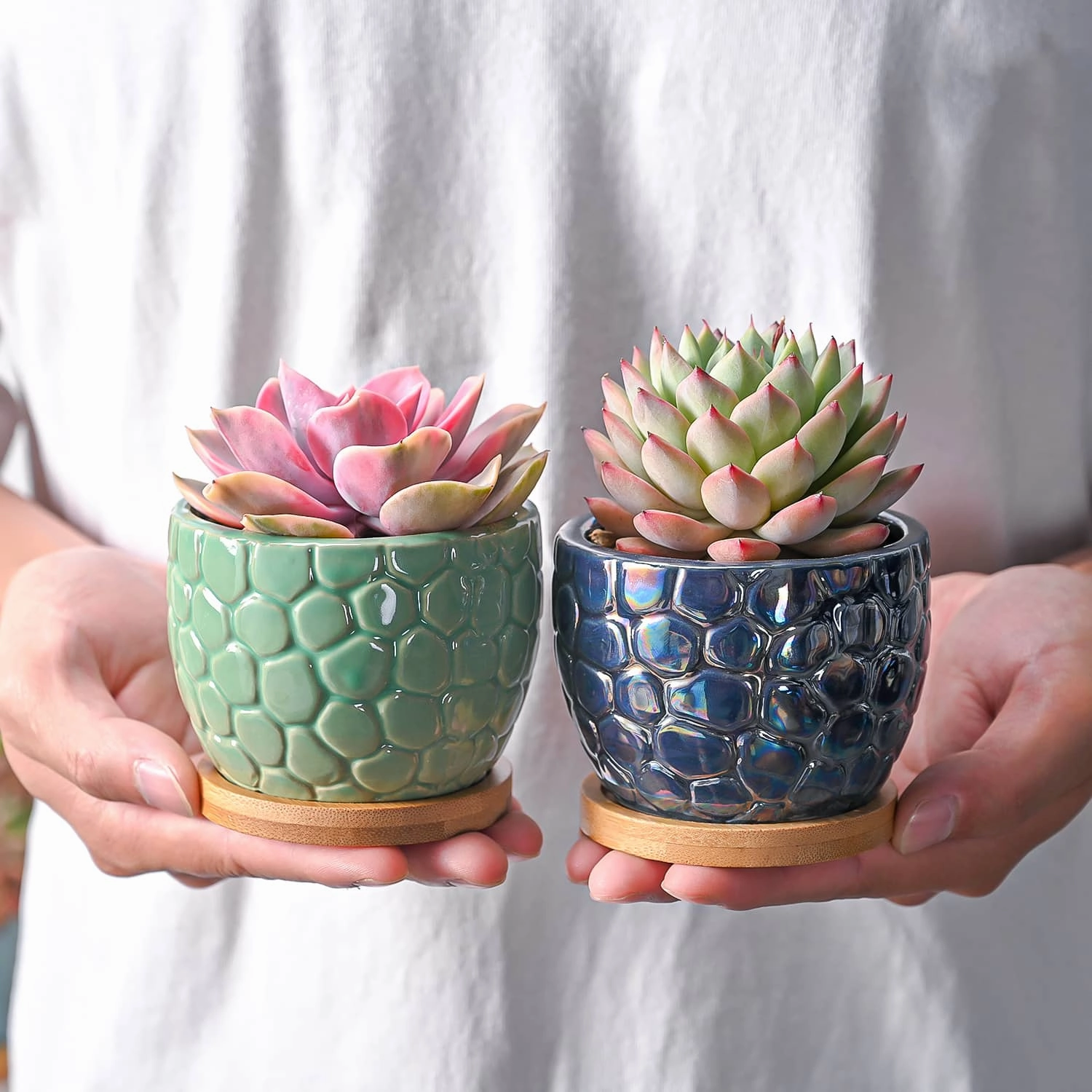 Oceanic Fish Scale Pattern Planters