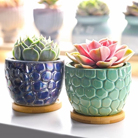 Oceanic Fish Scale Pattern Planters mini ornamental plant  