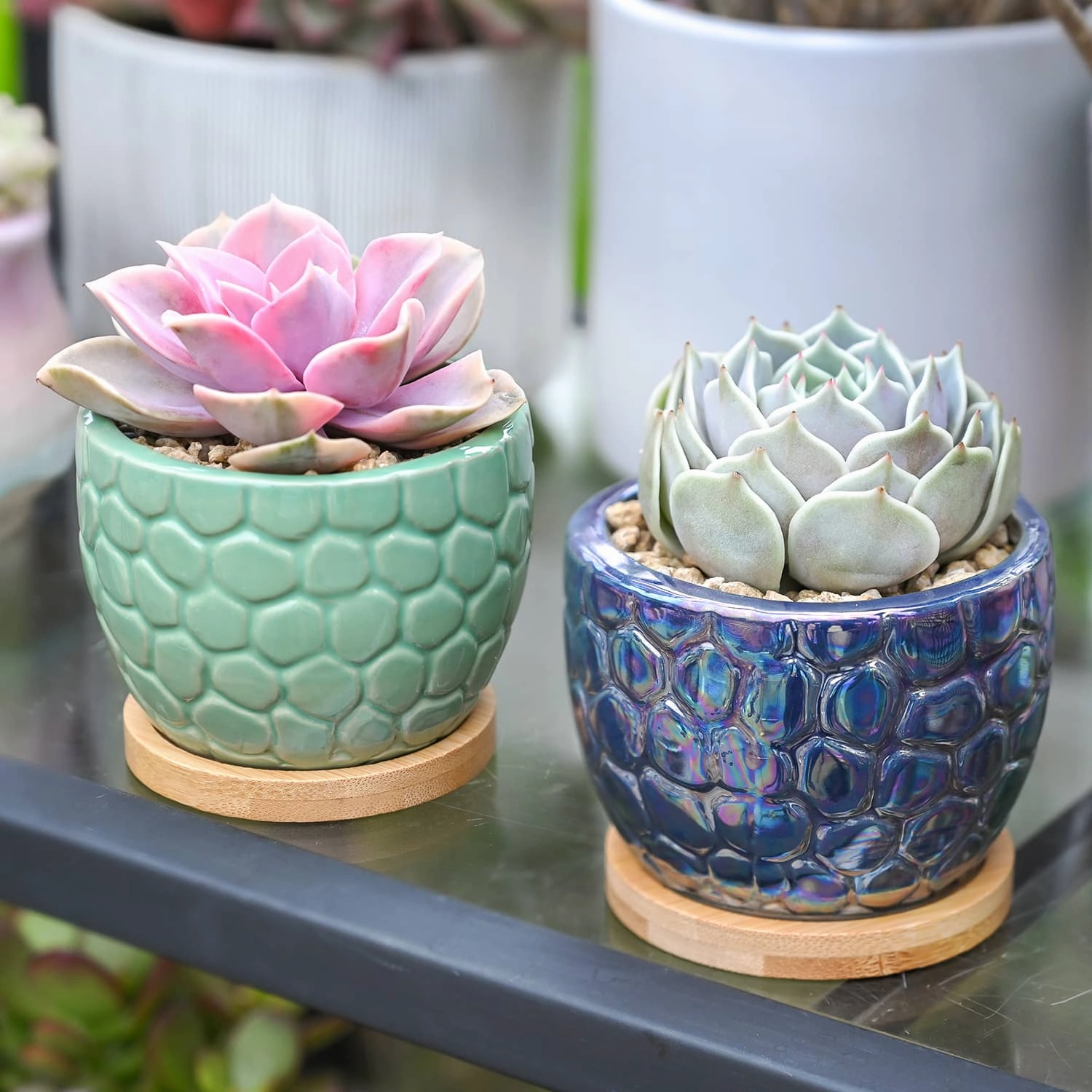 Oceanic Fish Scale Pattern Planters