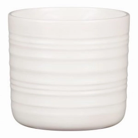 Off White Ceramic Indoor Cover Pot soft Wool (850) tall green plant  