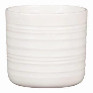 Off White Ceramic Indoor Cover Pot soft Wool (850) tall green plant  