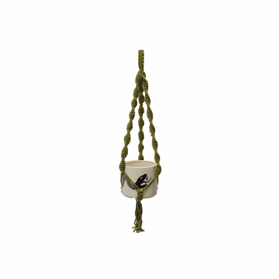 OG Plant Hanger - Moss Green 37 Inch plant seeds  