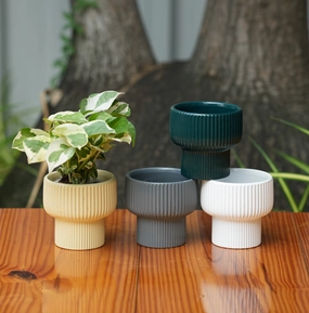 Okhli Shape Ribbed Ceramic Planter shade perennial  