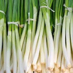 Onion, Heshiko Bunching Seeds small flower pot  
