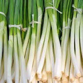 Onion, Heshiko Bunching Seeds floating plant shelf  