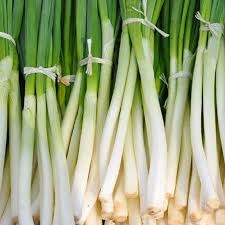 Onion, Heshiko Bunching Seeds small flower pot  