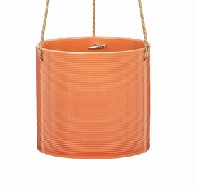 Orange Ceramic Hanging Pot 429 Papaya tall green plant  