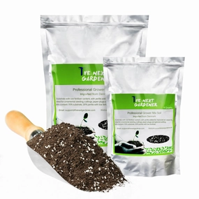 Organic Succulent and Cactus Soil Mix mini ornamental plant  