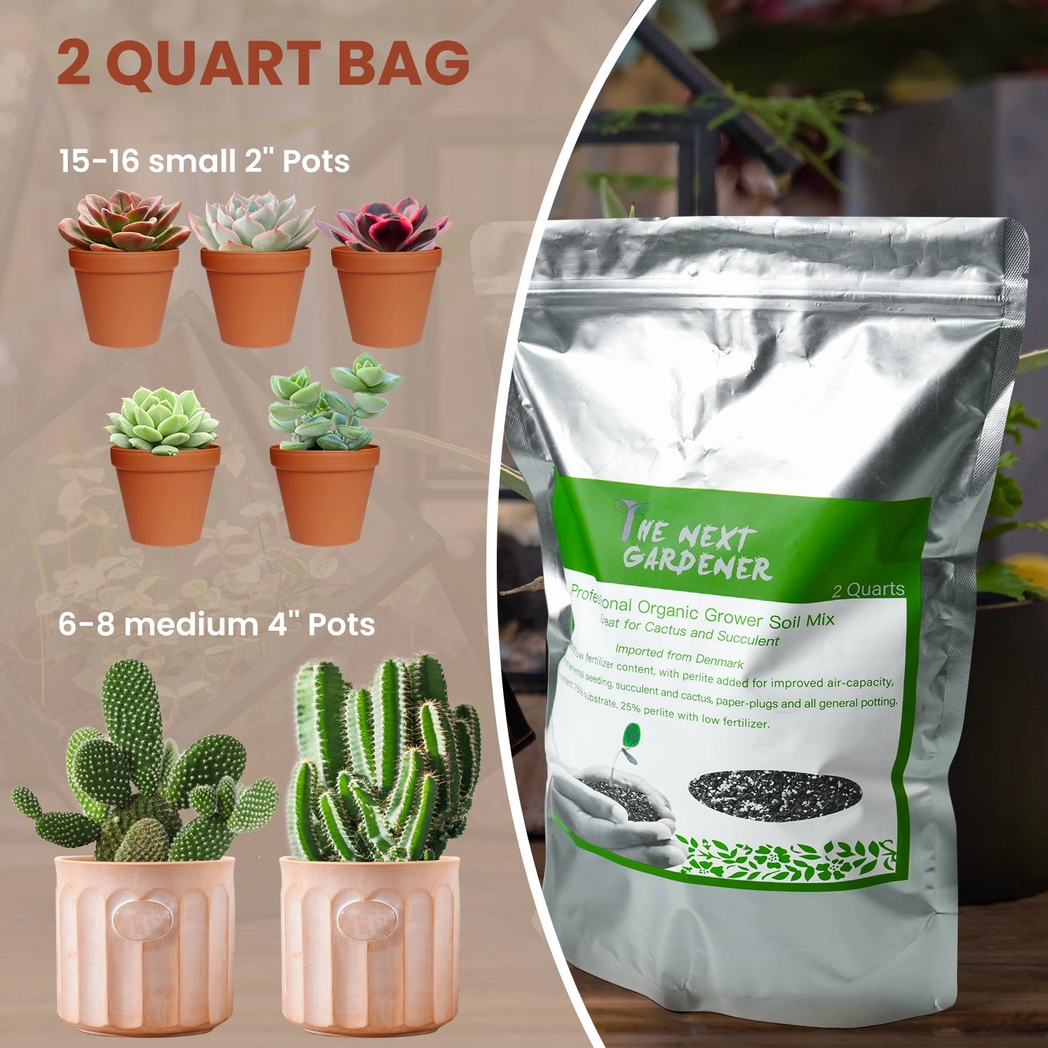 Organic Succulent and Cactus Soil Mix