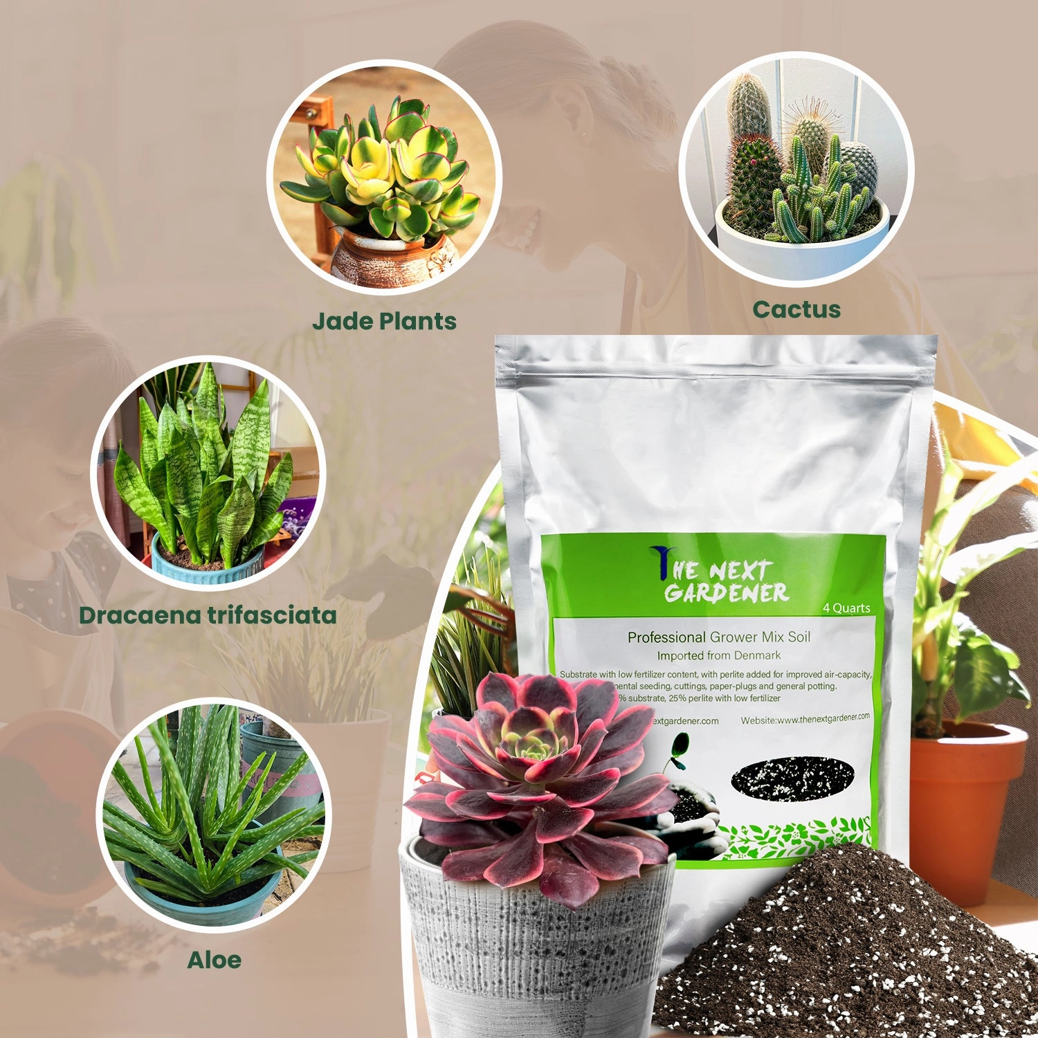 Organic Succulent and Cactus Soil Mix