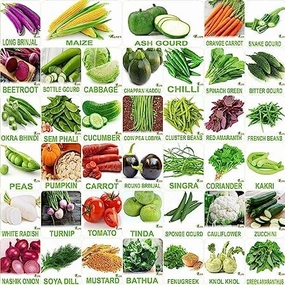Organic Winter & Summer Vegetable Seeds- Pack of 40 small bud vase  