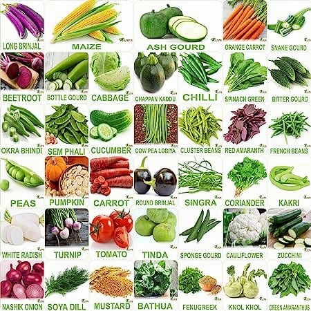 Organic Winter & Summer Vegetable Seeds- Pack of 40 small bud vase  