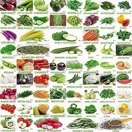 Organic Winter & Summer Vegetable Seeds- Pack of 65 small bud vase  