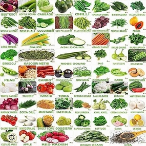 Organic Winter & Summer Vegetable Seeds- Pack of 65 small bud vase  