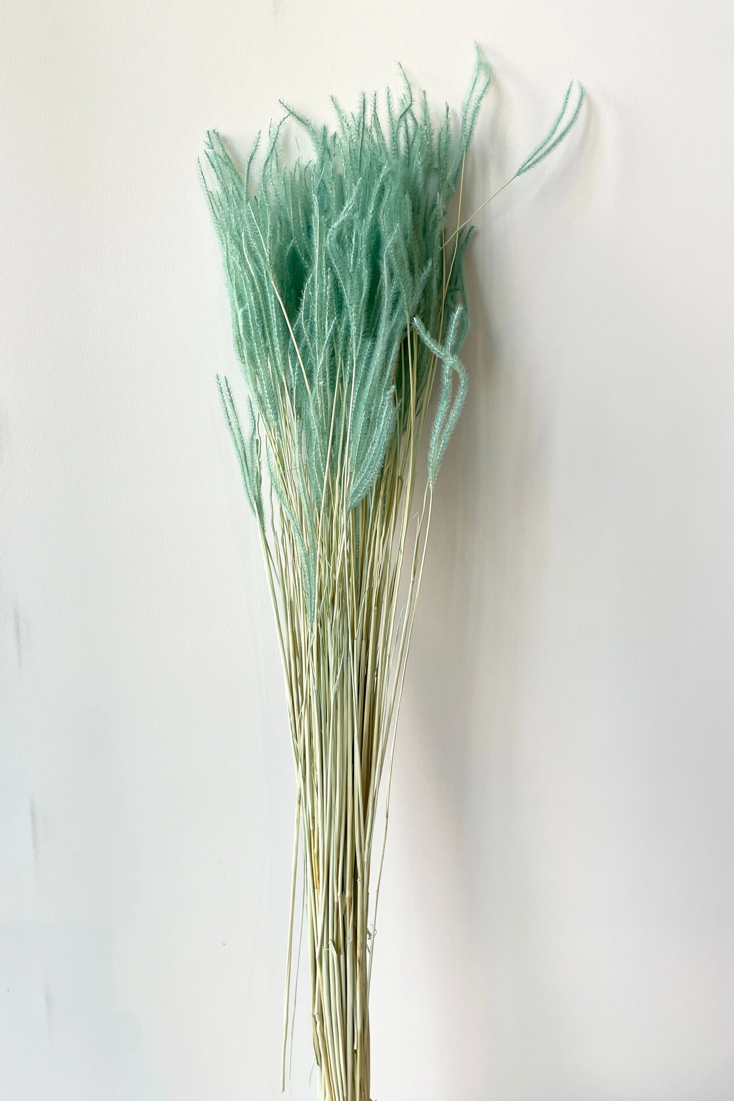 Ouro Teal Pastel Preserved Bunch