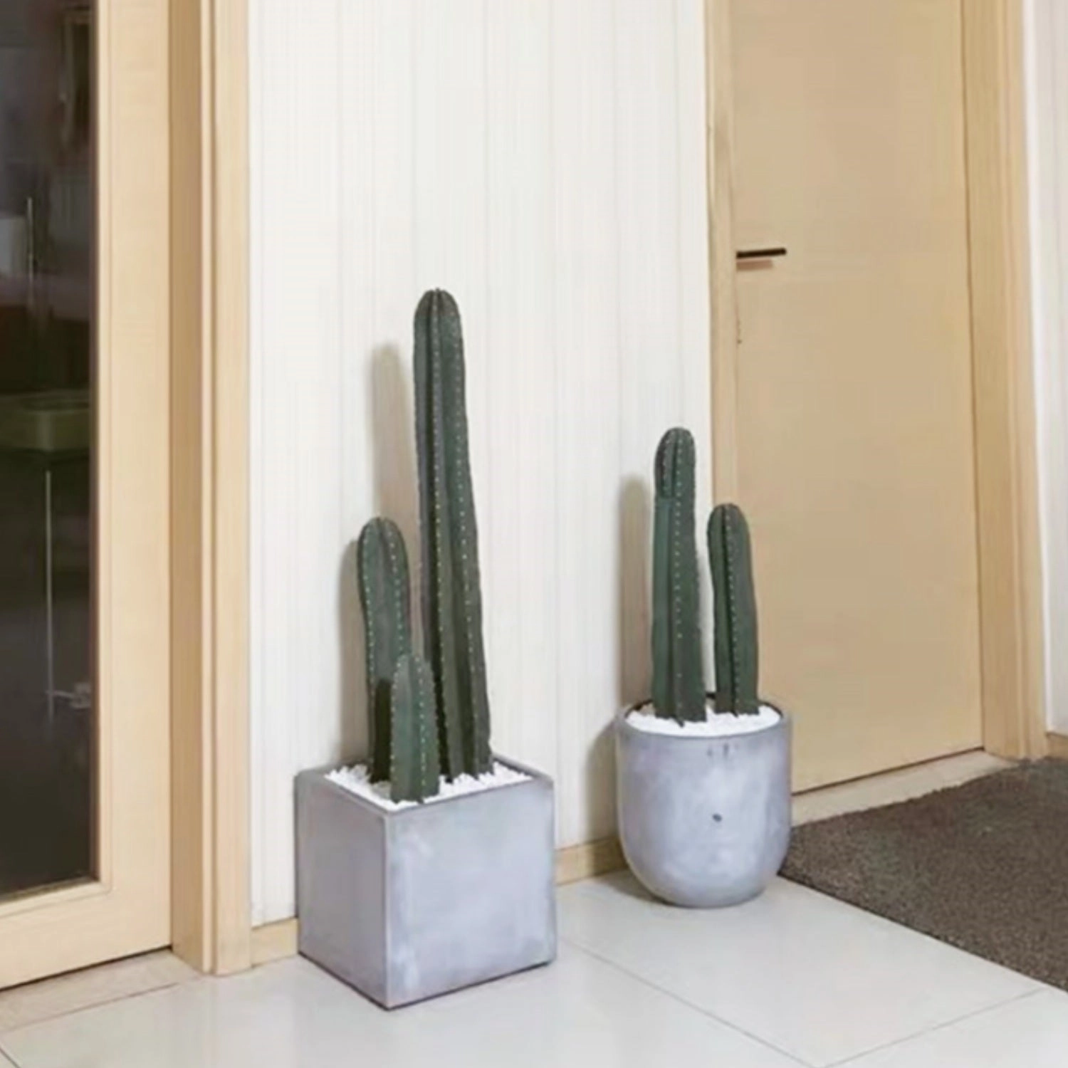 Pachycereus marginatus / Mexican Fence Post Cactus