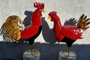 Painted Hen & Rooster decorative plants  